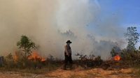 Kebakaran Hutan dan Lahan -