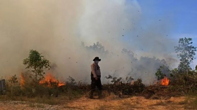 Kebakaran Hutan dan Lahan -