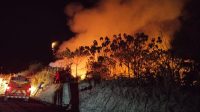karhutla-kutai-barat-meluas-41551-hektare-hutan-dan-lahan-terbakar-istimewa-1787212761754_169